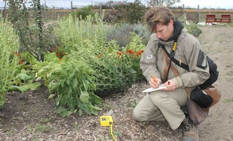 Fanshawe landscape design students brave the elements during visit to Bruce Botanical Food Gardens