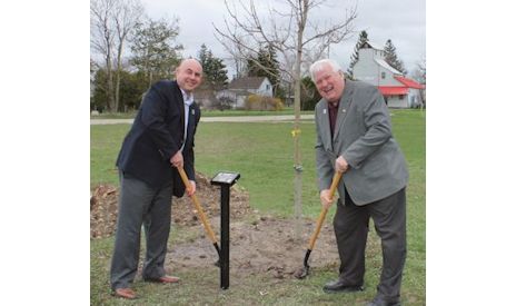 Bruce County warden plants commemorative tree in Ripley