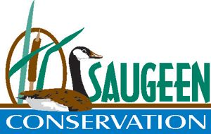 Land north of Glammis donated to Saugeen Conservation