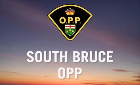 South Bruce OPP seek witnesses in assault investigation