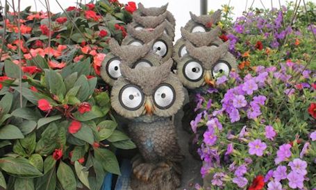 Sobeys Kincardine garden centre open daily 8 a.m. to 8 p.m.