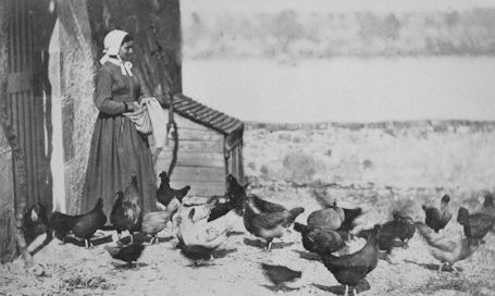 Pioneer life was difficult for women