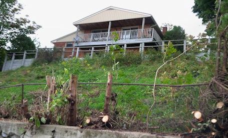 Kincardine woman upset at lack of response to tree-cutting three years ago