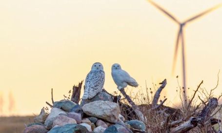 Goderich photographer captures beauty of Kincardine and Bruce County