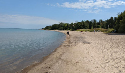 ​Township hears concerns about algae as water level drops in Lake Huron