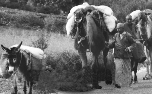 Bruce County Museum presents "A Traveller's Journey with Black-and-White Film"
