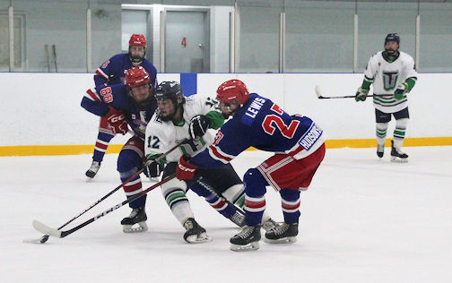 Bulldogs post three wins and one loss in PJHL hockey action