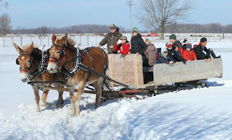 Glorious, sunny, warm day for Ripley Winter Carnival
