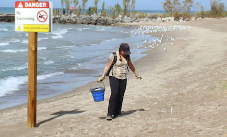 ​Community supports shoreline clean-up at Station Beach, Kincardine