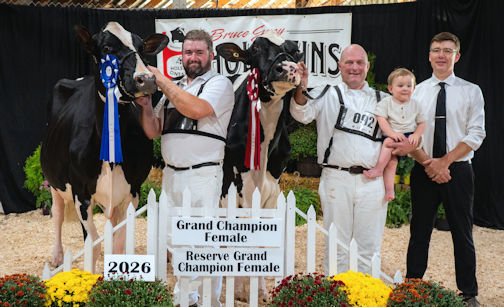 Kincardine breeder takes grand champion at Bruce Grey Holstein Show