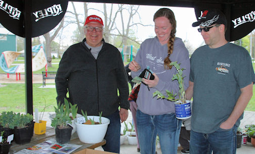 Good crowd turns out for Ripley Horticultural Society plant sale at Lewis Park