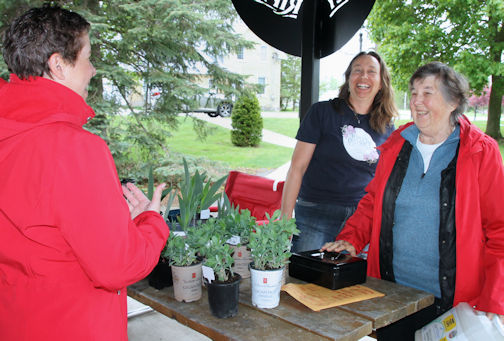 ​Good crowd for Ripley Horticultural Society plant sale, despite chilly, wet weather