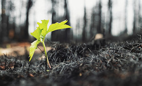 ​Bruce Power, employees, community raise $40,000 for Alberta wildfire emergency relief