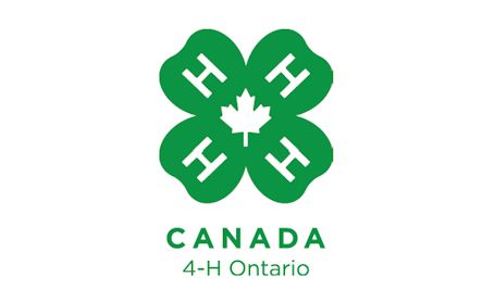 Ripley 4-H sheep club holds first three meetings
