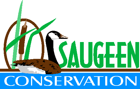 SVCA issues flood watch for Penetangore, Pine River watersheds