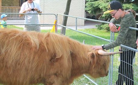 Hundreds enjoy Family Day, Sunday afternoon at Kincardine Scottish Festival