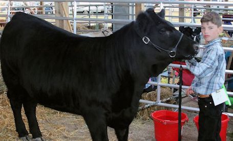 Ripley-Huron Fall Fair results