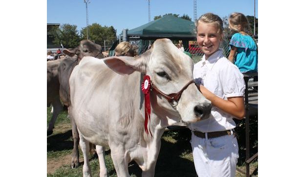 Kincardine Fall Fair results