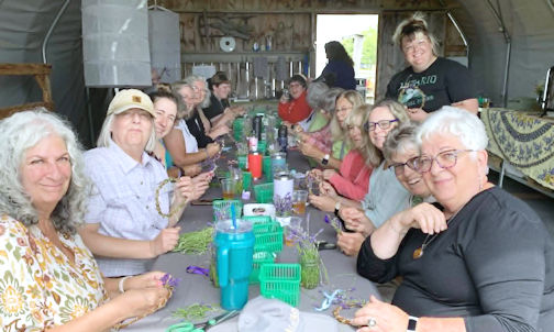 Lavender dreams, summer memories at the Bruce Botanical Food Gardens in Ripley