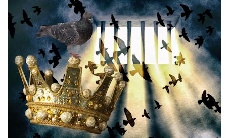 World premiere of "The Pigeon King" opens Friday, Aug. 11, at Blyth Theatre
