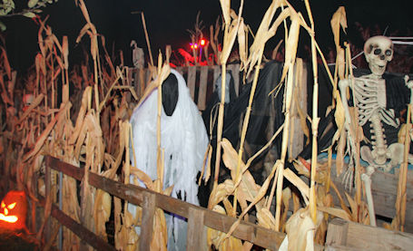 ​Fifth annual Halloween Haunt raises more than $2,000 for Kincardine Food Bank