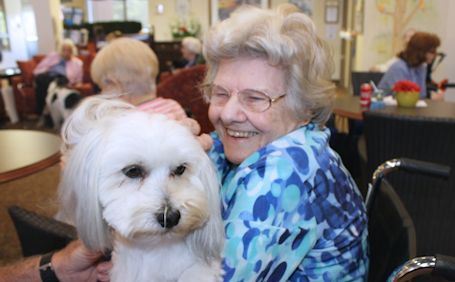 Trillium Court raises $300 for Dog Guide program at National Dog Day celebration