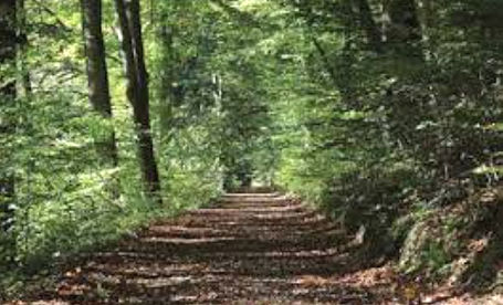 Township seeks community input for new Parks and Trails Plan