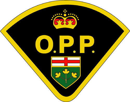 South Bruce OPP report torched recycling bins; and slashed tires