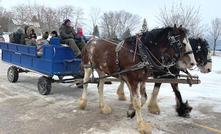 ​Plenty of fun planned for Ripley Winter Carnival, Feb. 16-17