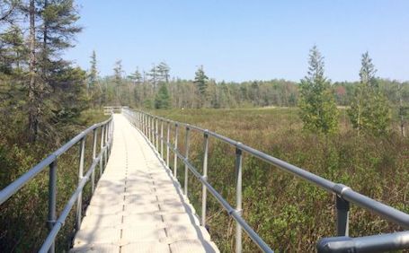 First "Legends of the Great Swamp" tour slated for this Saturday