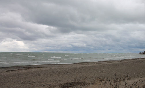 New Year’s Day brings windy, cooler weather