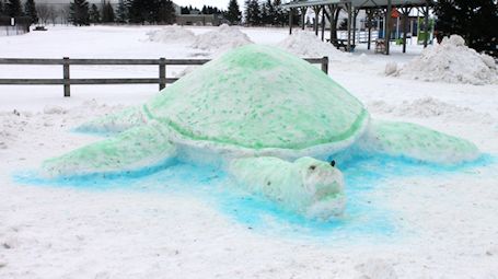 Colourful giant turtle wins snow scupture contest at Tiverton Winterfest