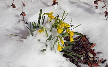 One more blast of winter for Kincardine area