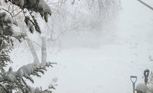 Snow squalls cause closure of Highways 9 and 21 in Kincardine area