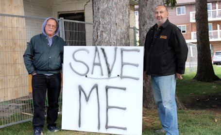 Downtown landowner upset neighbouring developer plans to destroy 100-year-old trees