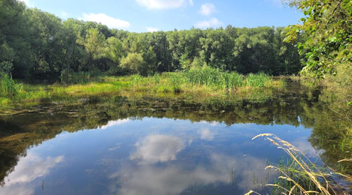 ​SVCA launches 75th Anniversary Explore Program