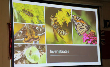 ​Huron Fringe Field Naturalists learn about declining forest health in Maitland River Watershed