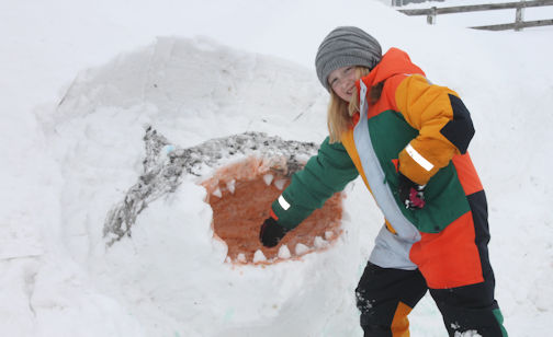 ​Virtue family takes bite out of winter with shark-infested sculpture at Tiverton Winterfest