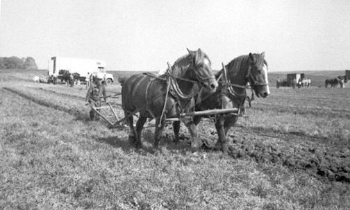Bruce County Memories: Plowing — the satisfaction of a straight furrow