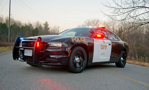 Police seek public's assistance after tractor theft near Mildmay