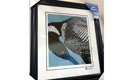 ​“Loon Brooding” is next print in Kincardine Hospital Auxiliary fund-raiser