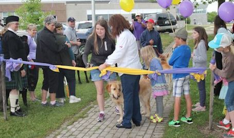 Lions Foundation of Canada Walk for Dog Guides set for Kincardine, Tiverton, May 28