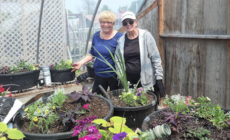 Ripley Horticultural Society is buzzing with activity in May