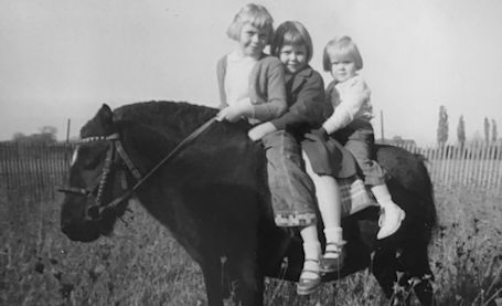 Great adventures with a pony named Prince