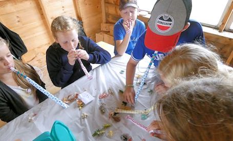 Ripley youth horticultural club enjoys Frog and Tree adventures at education shed