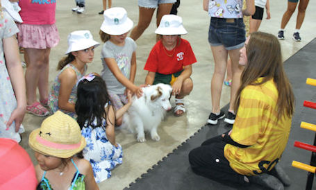 ​Huge crowd gathers for Bruce Power Fun Fest at Davidson Centre in Kincardine