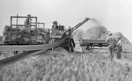 Harvest time in the 1940s