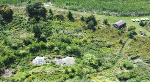 ​PRWIN marks 25 years of preserving eco-system in Pine River Watershed